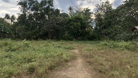 Land for sale in Ko Lanta Yai, Krabi