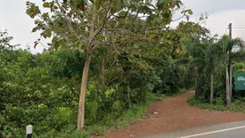 Land for sale in Ko Wai, Nakhon Nayok