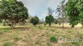 Land for sale in Mu Si, Nakhon Ratchasima