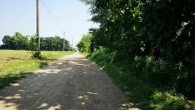 Land for sale in Nong Phikun, Nakhon Sawan