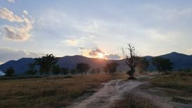 Land for sale in Rong Chang, Chiang Rai