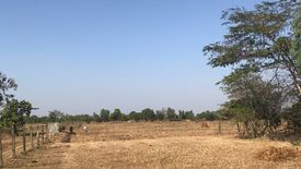 Land for sale in Wiang Phang Kham, Chiang Rai