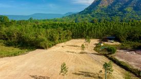 Land for sale in Noen Hom, Prachin Buri