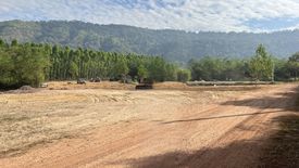 Land for sale in Noen Hom, Prachin Buri