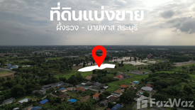 ขายที่ดิน ใน ผึ้งรวง, เฉลิมพระเกียรติ