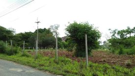 Land for sale in Pak Chong, Nakhon Ratchasima