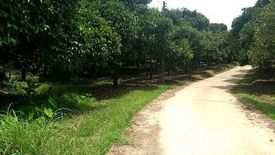 Land for sale in Bang Kaeo, Ranong