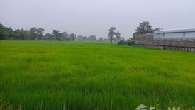 Land for sale in Sam Yaek, Yasothon