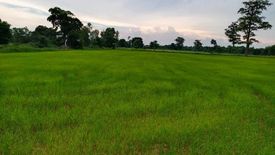 Land for sale in Sam Yaek, Yasothon