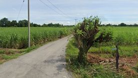 Land for sale in Nong Rathawat, Suphan Buri