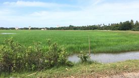 Land for sale in Rusa Milae, Pattani