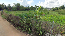 Land for sale in Nang Lae, Chiang Rai