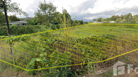 Land for sale in Nang Lae, Chiang Rai