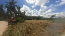 Land for sale in Thong Chai, Prachuap Khiri Khan