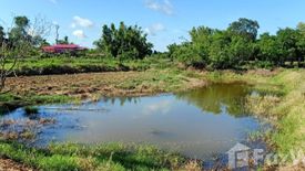 ขายที่ดิน ใน หนองนาแซง, เมืองชัยภูมิ