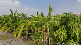 ขายที่ดิน ใน บางแก้ว, บางพลี