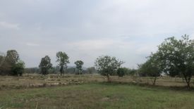 Land for sale in Kut Hae, Yasothon