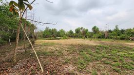 Land for sale in Nong Rong, Saraburi