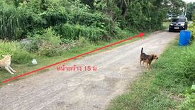 Land for sale in Dao Rueang, Saraburi