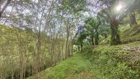 Land for sale in Lam Phi, Phang Nga