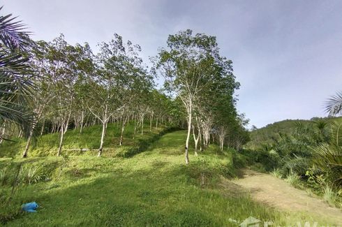 ขายที่ดิน ใน ลำภี, ท้ายเหมือง