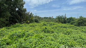 Land for sale in Thai Ban, Samut Prakan near BTS Sai Luat