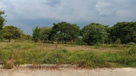 Land for sale in Yu Wa, Chiang Mai