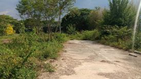 Land for sale in Yu Wa, Chiang Mai