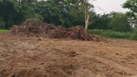 Land for sale in Nong Phrong, Prachin Buri