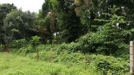 Land for sale in Ko Phayam, Ranong