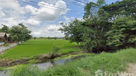 ขายที่ดิน ใน ต้นธง, เมืองลำพูน