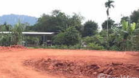 Land for sale in Makham Tia, Surat Thani