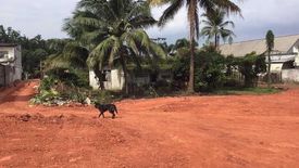 Land for sale in Makham Tia, Surat Thani