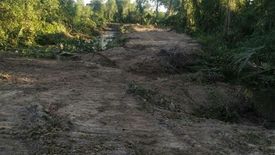 Land for sale in Noen Sai, Trat