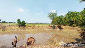 Land for sale in Noen Kham, Chainat