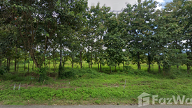 Land for sale in Mae Puem, Phayao