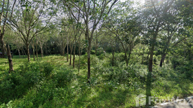 Land for sale in Manang Tayo, Narathiwat