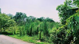 Land for sale in Bang Khu Wiang, Nonthaburi