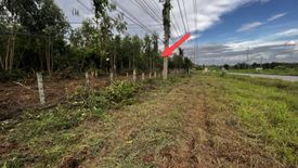 Land for sale in Kut Nam Sai, Khon Kaen