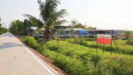 Land for sale in Bang Luang, Pathum Thani