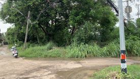 Land for sale in Khlong Khachen, Phichit