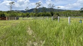 ขายที่ดิน ใน บางทอง, ท้ายเหมือง