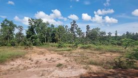 Land for sale in Kut Chom Phu, Ubon Ratchathani