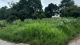 Land for sale in Ban Lao, Chaiyaphum