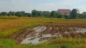 Land for sale in Nai Mueang, Chaiyaphum