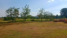 Land for sale in Nai Mueang, Chaiyaphum