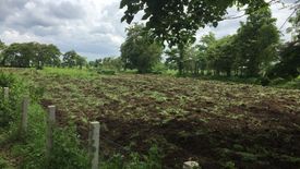 Land for sale in Ban Yang, Buriram