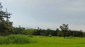 Land for sale in Don Chik, Ubon Ratchathani