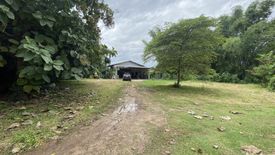 Land for sale in Na An, Loei