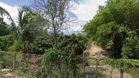 Land for sale in Mueang Chi, Lamphun